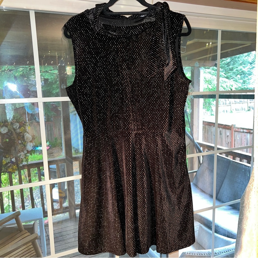 Elegant Black Velvet Mini Dress